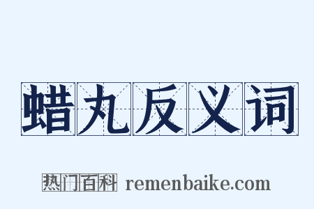 蜡丸反义词是什么意思的图片